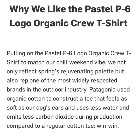 Patagonia P-6 Logo Organic Cotton Crew Tee - Picture 10 of 10